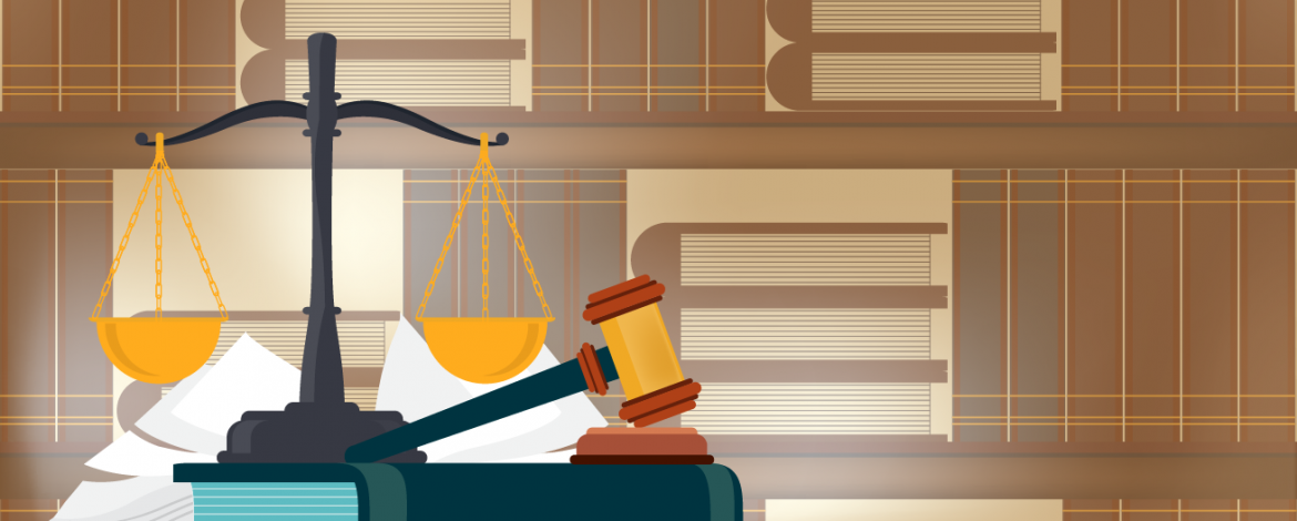 Legal challenges to welfare schemes, in conversation