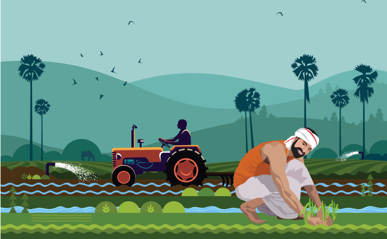 Making millets, crops of the future, shine