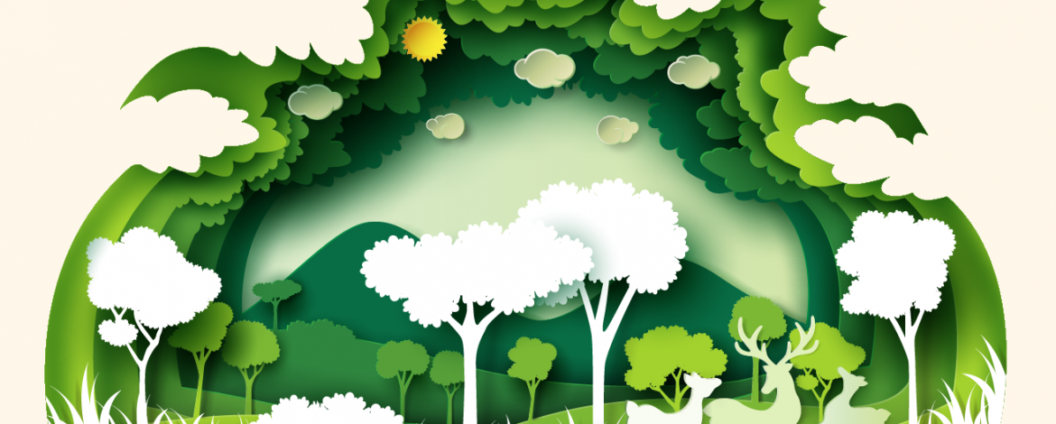 Perils of post-facto environmental clearances in India